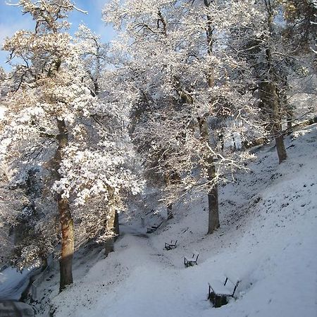 Готель Goiko-Benta Ostatua Оньяте Екстер'єр фото